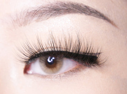 Dixie - Ivy Lashes 