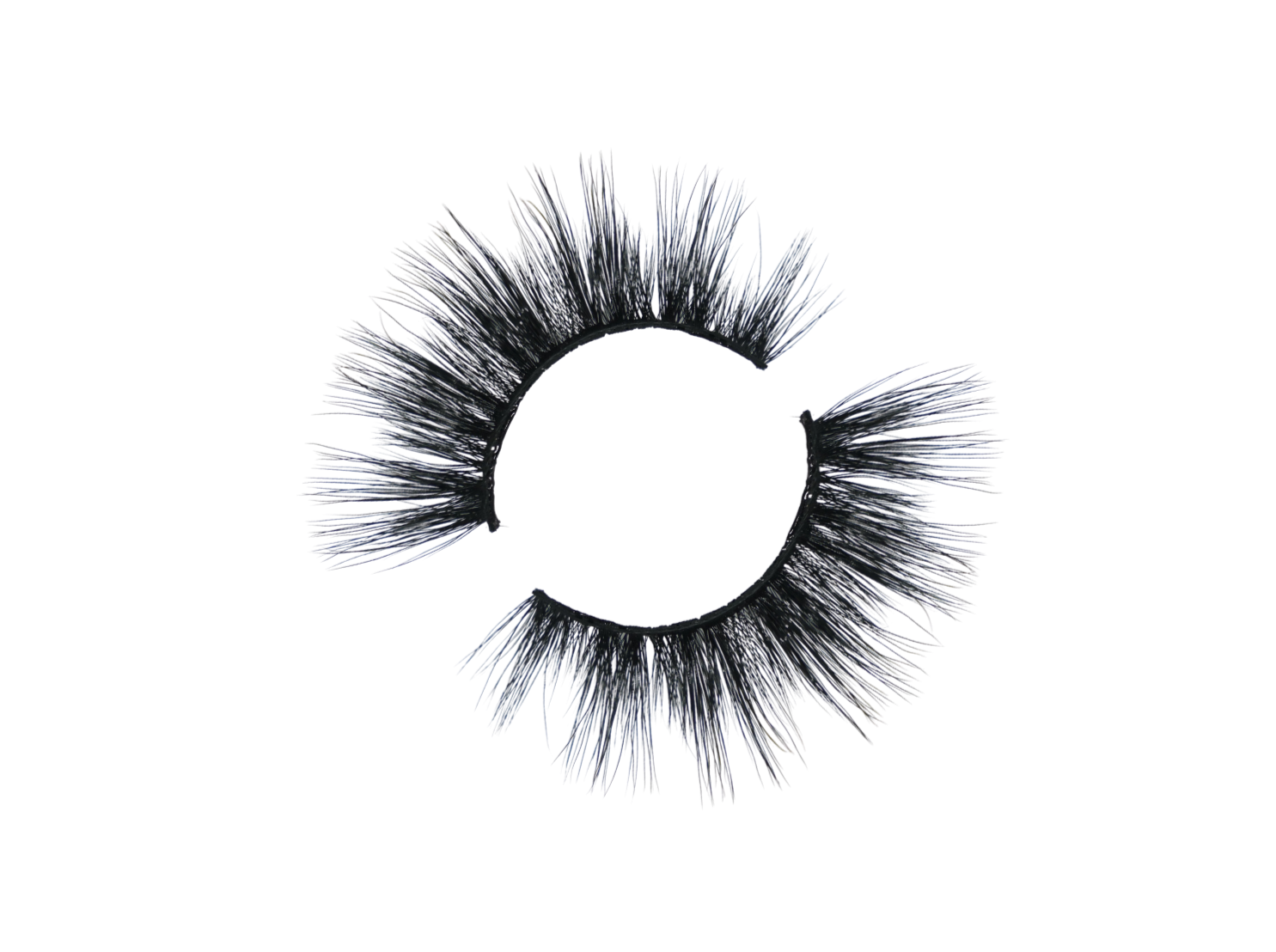 Diva - Ivy Lashes 